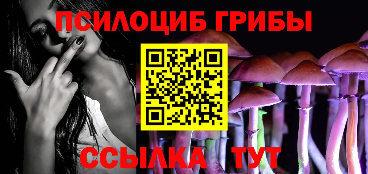 Псилоцибиновые грибы Psilocybe  наркота  Кашира  Галлюциногенные грибы прущие грибы  Вход с VPN 